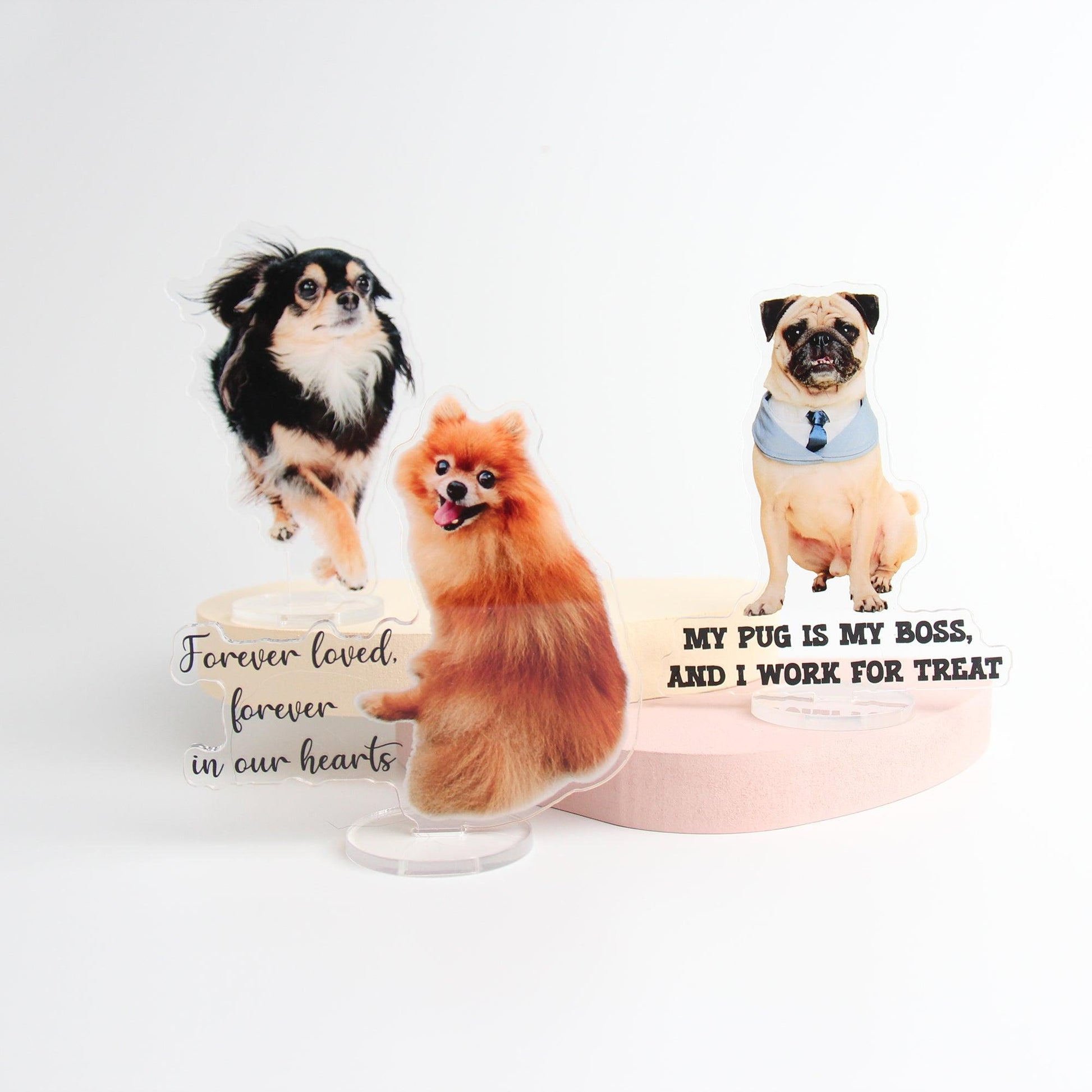 Custom Pet Photo Statuette | Personalized Acrylic Dog Cat Picture Cutout | 10cm 3D Pet Portrait Stand | Unique Animal Lover Gift - P for Pawsome