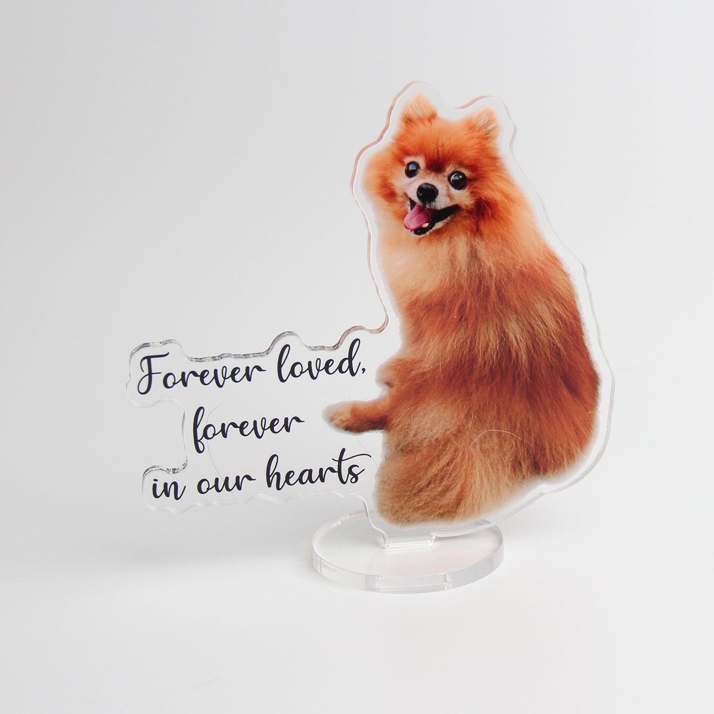 Custom Pet Photo Statuette | Personalized Acrylic Dog Cat Picture Cutout | 10cm 3D Pet Portrait Stand | Unique Animal Lover Gift - P for Pawsome