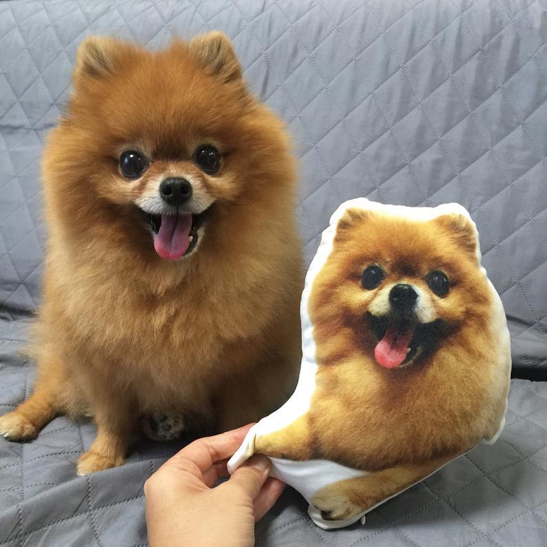 Custom Pet Double-Sided Cushion | Personalized Pet Pillow | Photo to Cushion - P for Pawsome