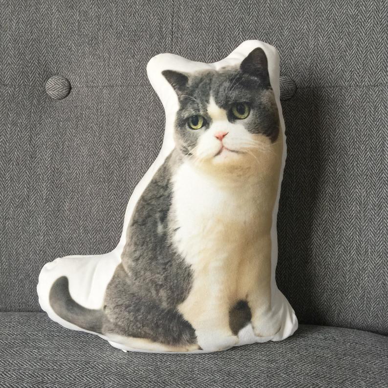 Double sided picture pillow best sale