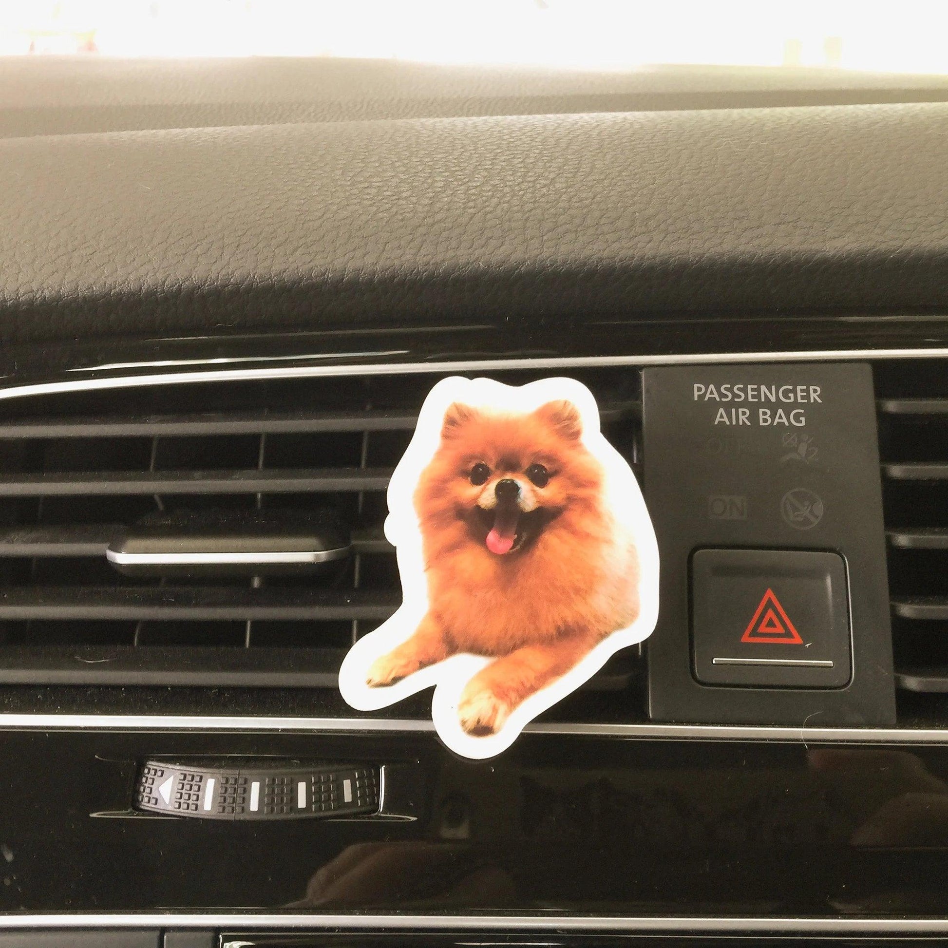 Custom Pet Photo Air Freshener | Personalized Car Diffuser | Dog Cat Lover Gift | Unique Memorial Keepsake - P for Pawsome