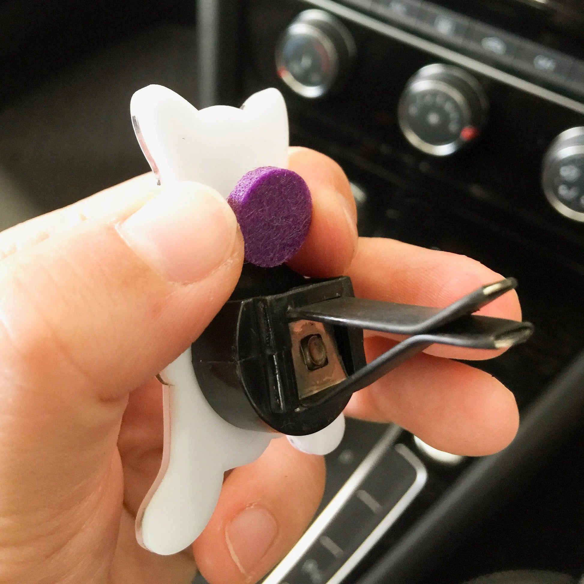 Custom Pet Photo Air Freshener | Personalized Car Diffuser | Dog Cat Lover Gift | Unique Memorial Keepsake - P for Pawsome