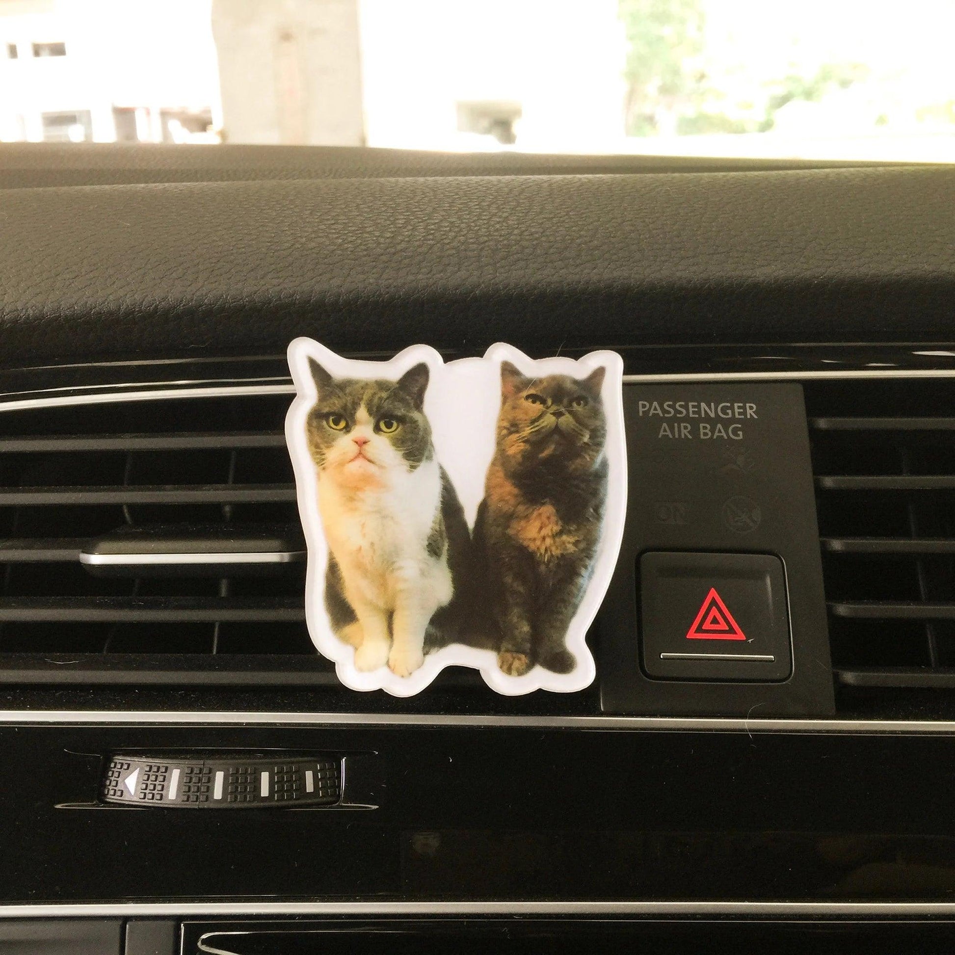 Custom Pet Photo Air Freshener | Personalized Car Diffuser | Dog Cat Lover Gift | Unique Memorial Keepsake - P for Pawsome