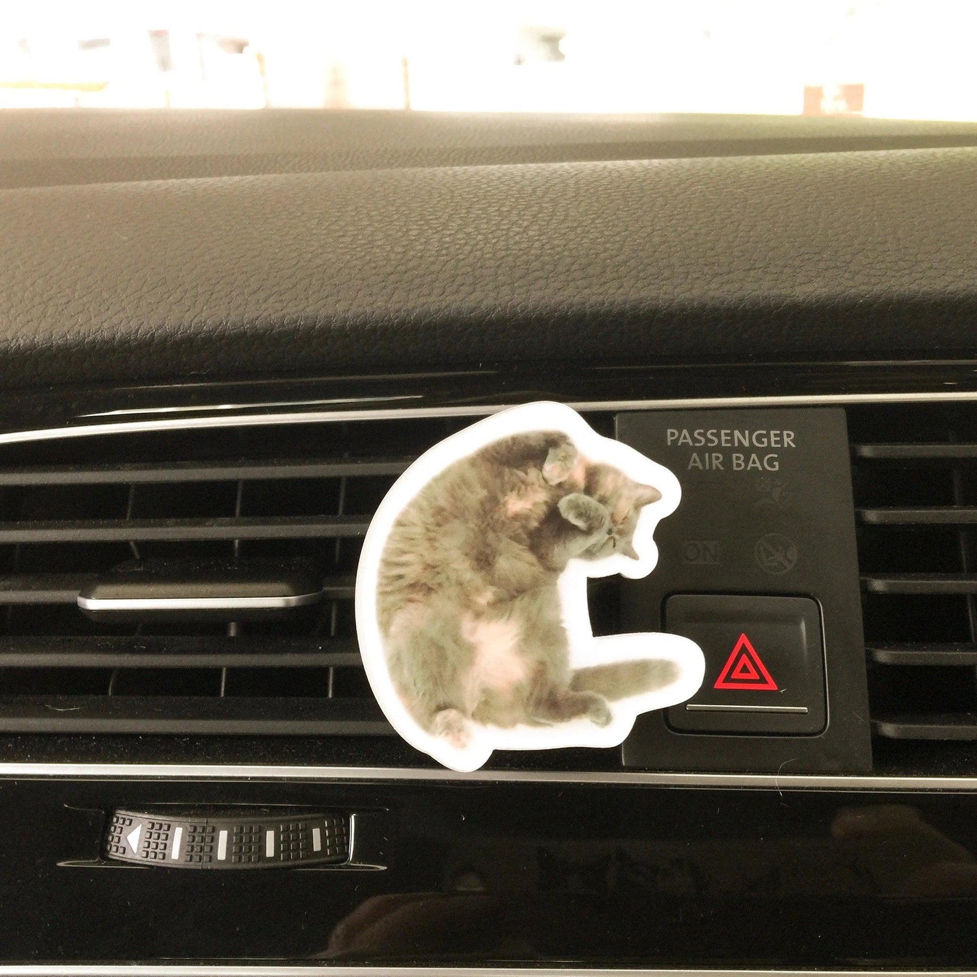 Custom Pet Photo Air Freshener | Personalized Car Diffuser | Dog Cat Lover Gift | Unique Memorial Keepsake - P for Pawsome